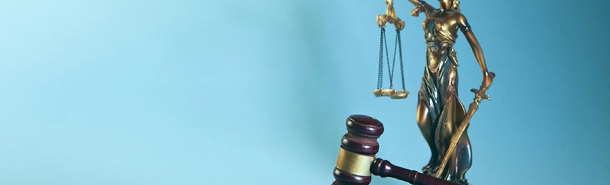 INTERPOL CCF Revision Rejected: What Legal Options Remain?